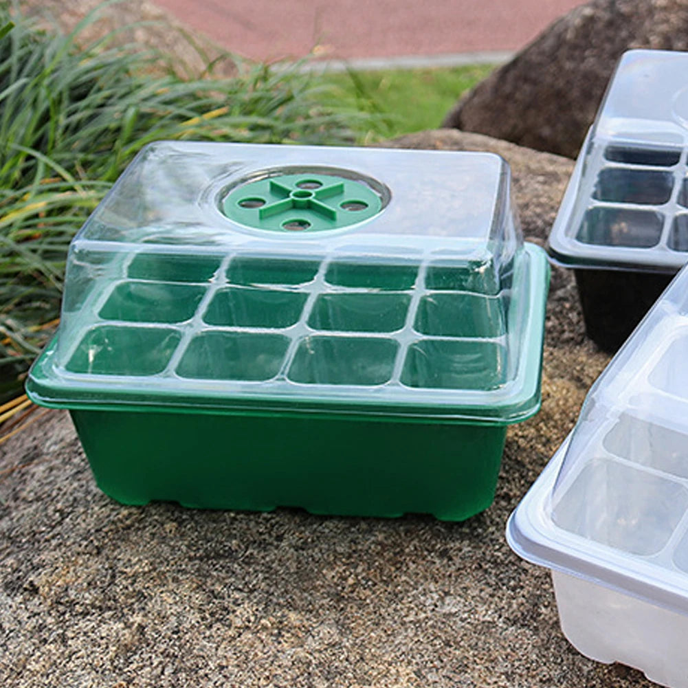 12 Holes Seed Starting Tray with Humidity Dome Plant Germination Starter Tray Succulent Propagation Tray for Succulent Plant