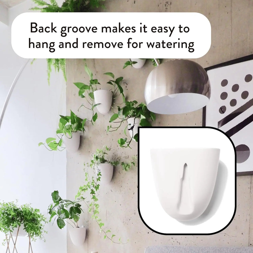 Self-Watering Wall Planters Set of 6 - Easy Install, Lightweight for Indoor Vertical Gardens
