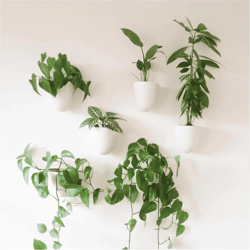 Self-Watering Wall Planters Set of 6 - Easy Install, Lightweight for Indoor Vertical Gardens