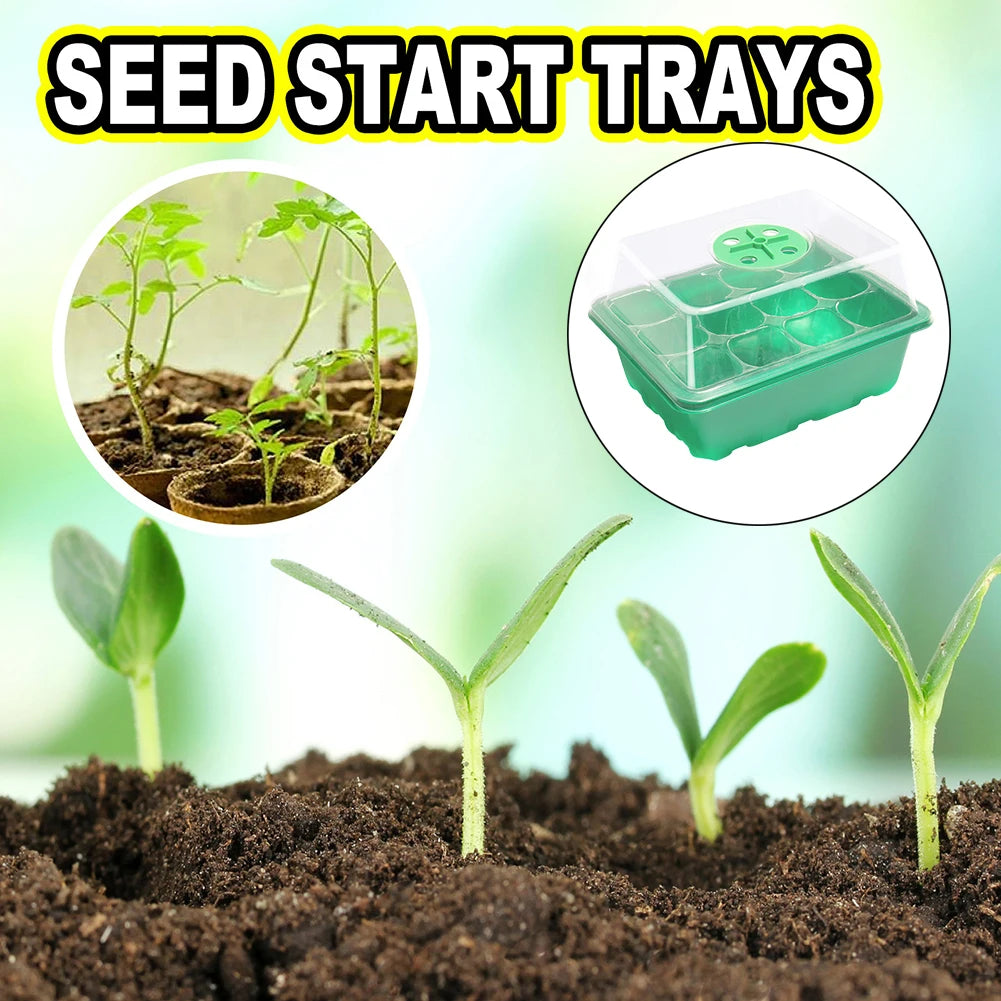12 Holes Seed Starting Tray with Humidity Dome Plant Germination Starter Tray Succulent Propagation Tray for Succulent Plant