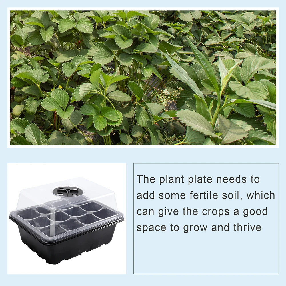 12 Holes Seed Starting Tray with Humidity Dome Plant Germination Starter Tray Succulent Propagation Tray for Succulent Plant