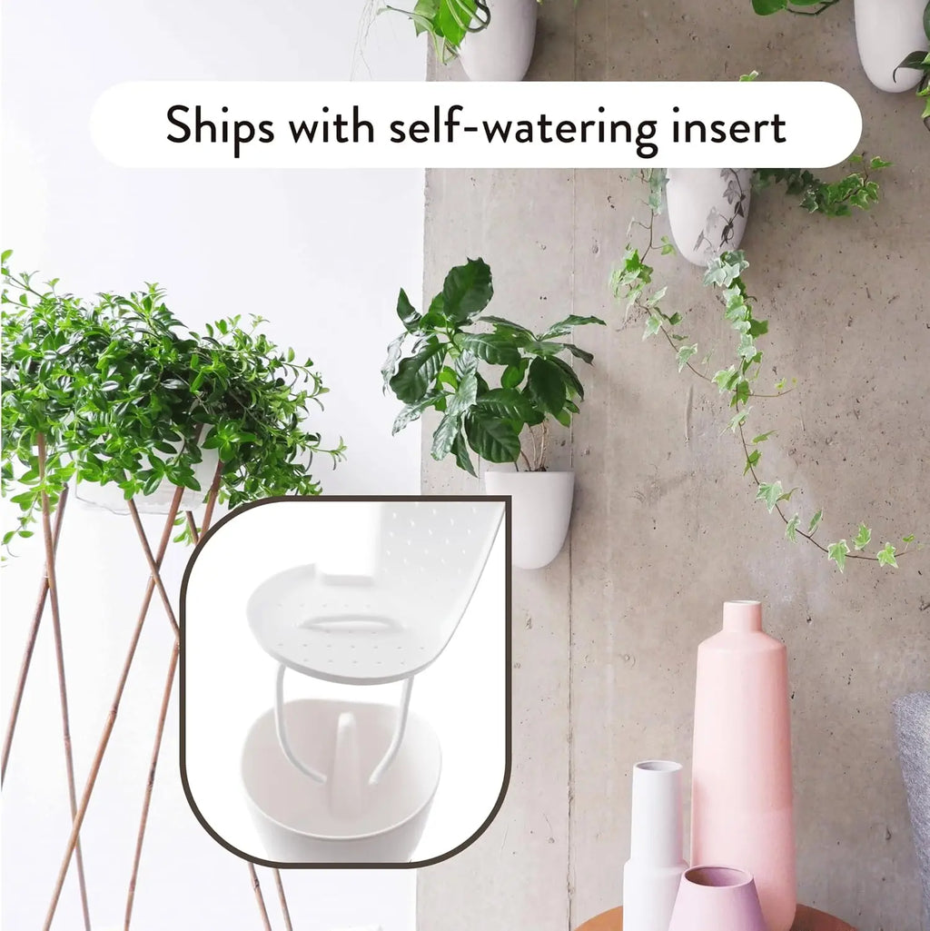Self-Watering Wall Planters Set of 6 - Easy Install, Lightweight for Indoor Vertical Gardens